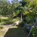 Apartman Klára *
